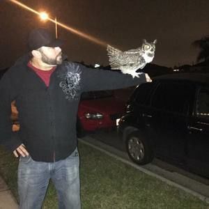 Meet your Posher, David